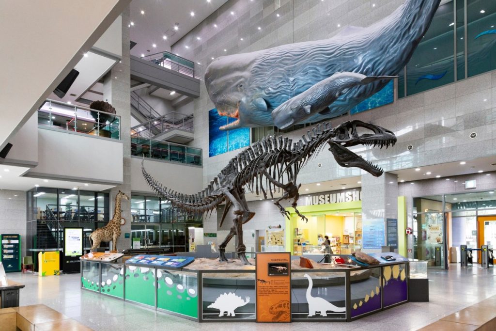 Najveće životinje koje su ikad postojale Najveće životinje koje su ikad postojale