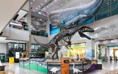 Najveće životinje koje su ikad postojale